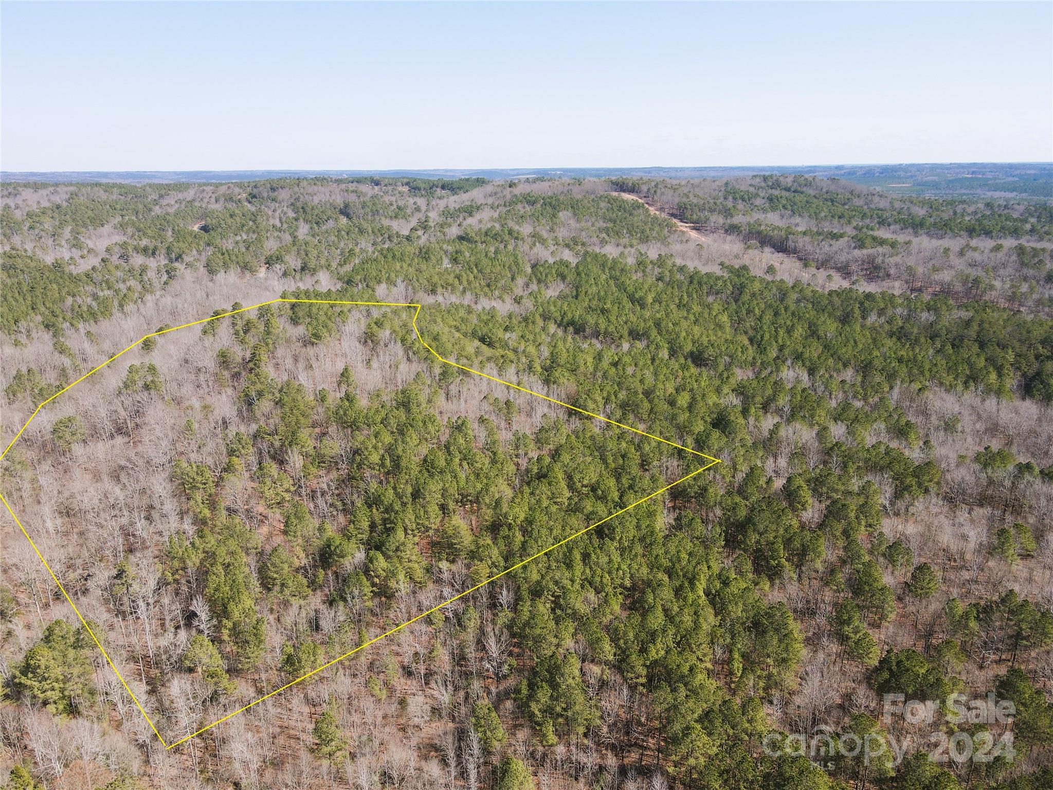 166 Wentworth Pass Rockingham, NC 28379 - Photo 22 of 27 a view of a city with lush green forest