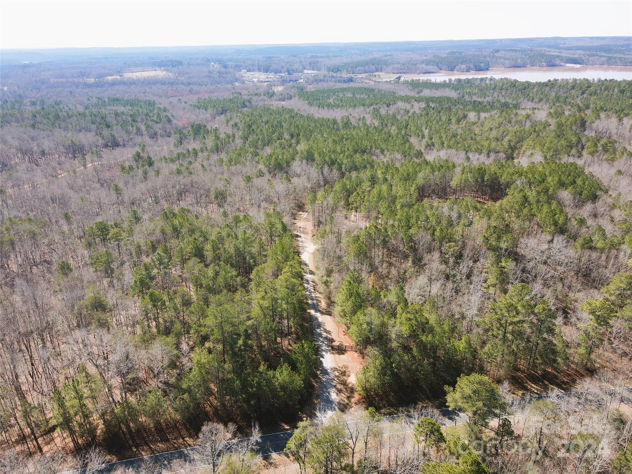 166 Wentworth Pass Rockingham, NC 28379 - Photo 24 of 27 a view of a forest with trees and mountain view