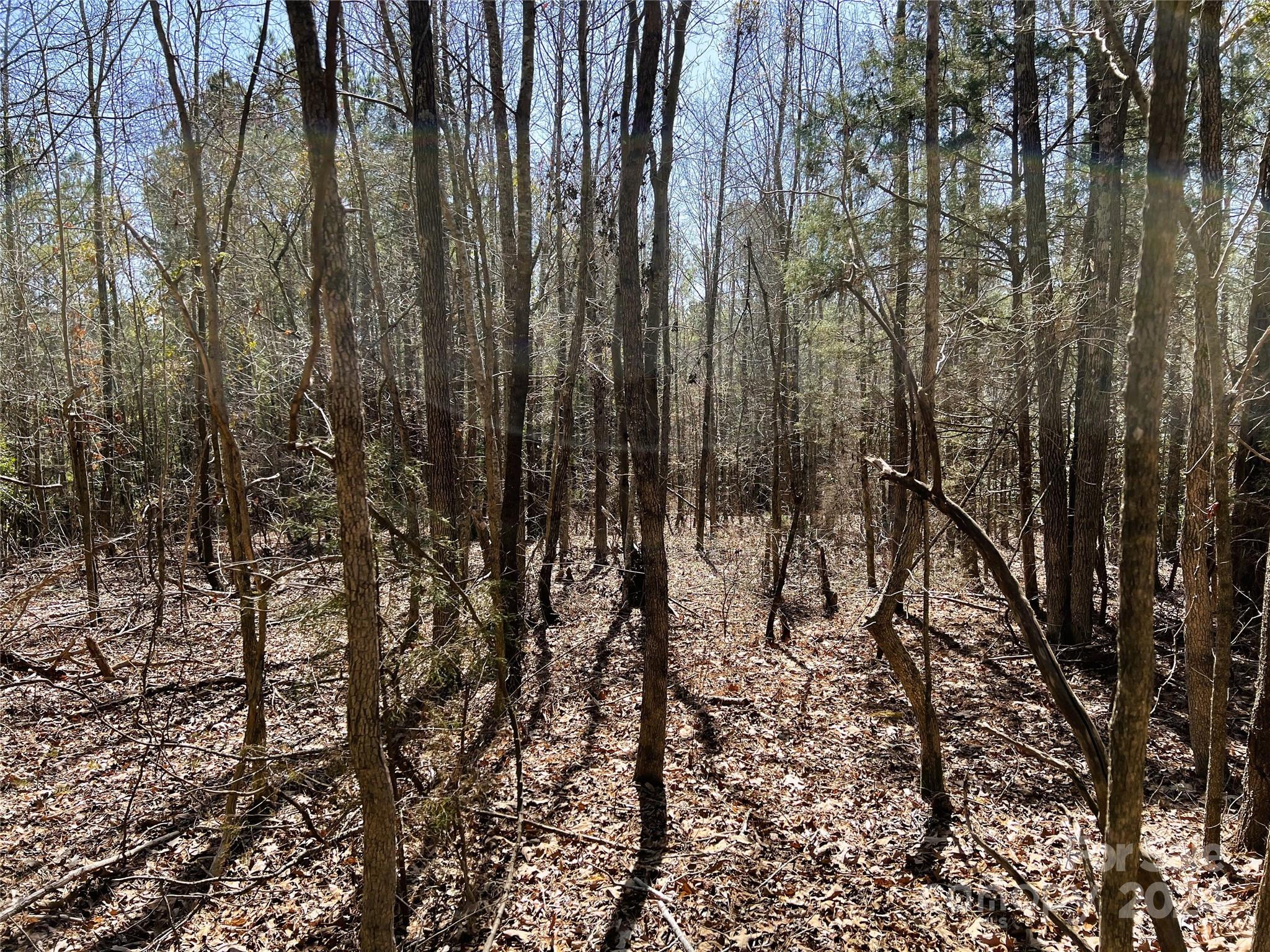 166 Wentworth Pass Rockingham, NC 28379 - Photo 27 of 27 a view of outdoor space and a yard