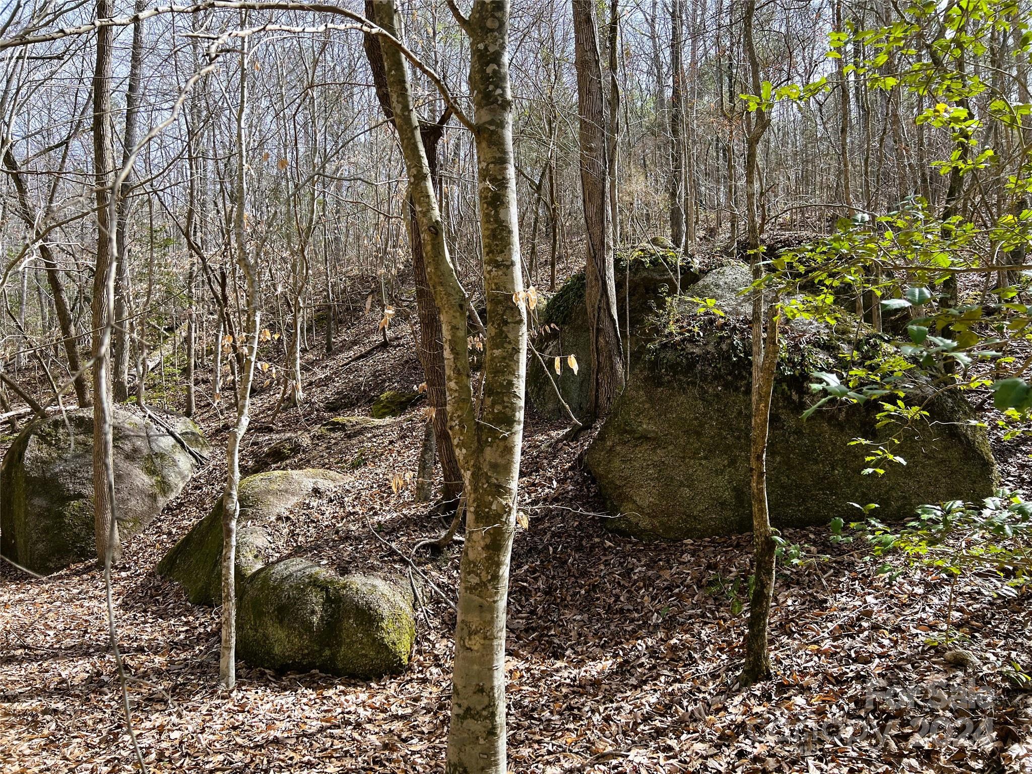 166 Wentworth Pass Rockingham, NC 28379 - Photo 5 of 27 a view of a pathway of a building