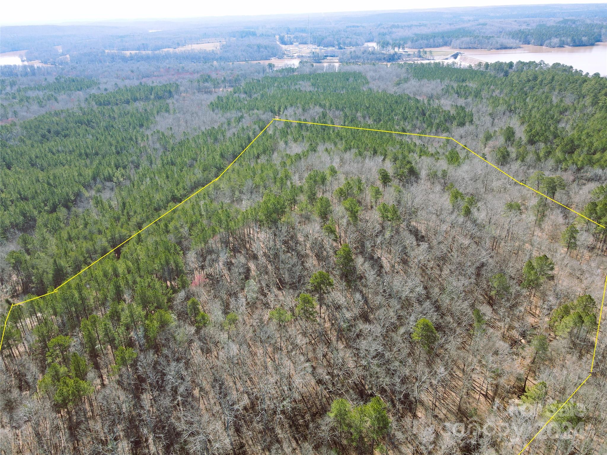 166 Wentworth Pass Rockingham, NC 28379 - Photo 8 of 27 a view of a green field with lots of bushes