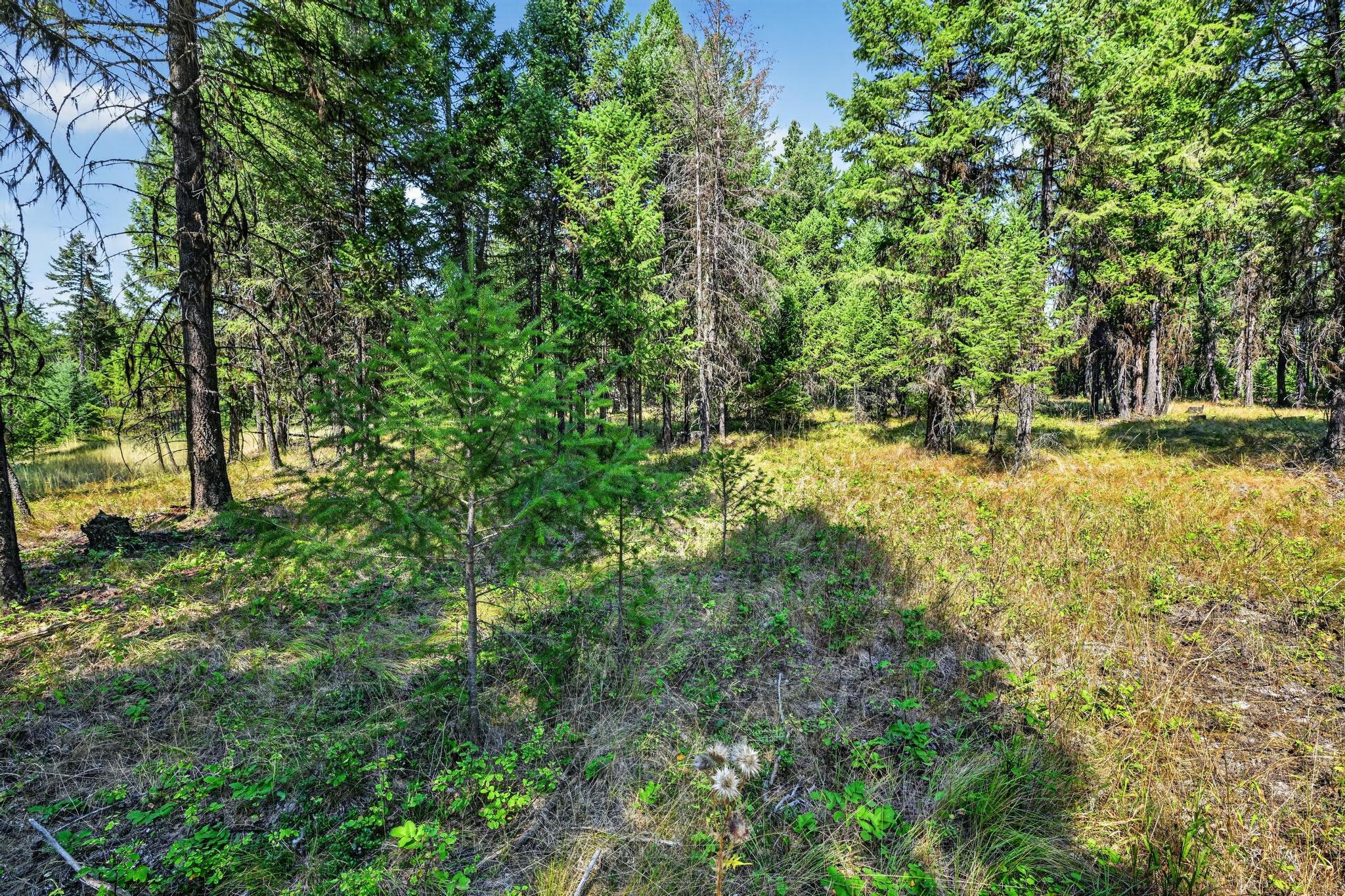 Lot 3 Forest Ridge Road Eureka, MT 59917 - Photo 4 of 23 Gallery Image 4