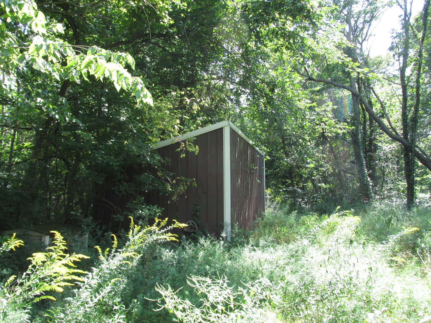 2994 Palmer Road Fulton, IL 61252 - Photo 22 of 23 a backyard of a house with lots of green space and garden