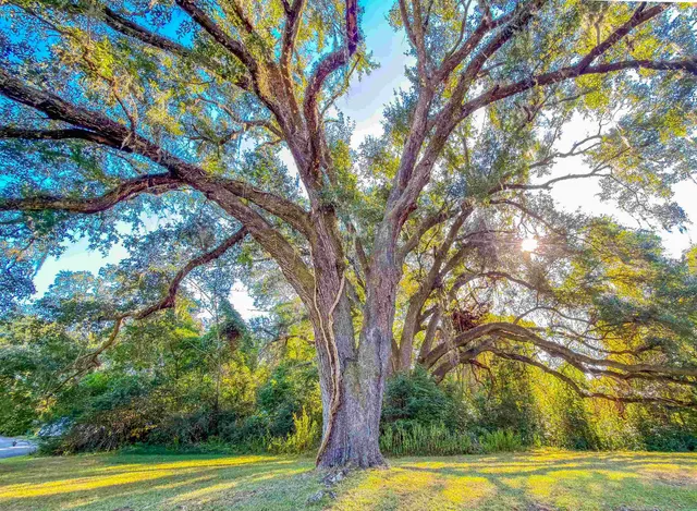 $1,250 | 1556 Twin Lakes Circle, Tallahassee, FL 32311