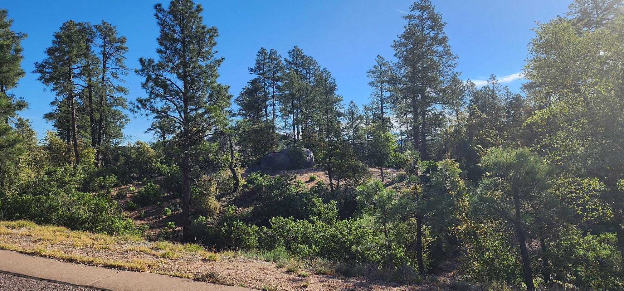 -- East Phoenix Street Payson, AZ 85541 - Photo 6 of 17 a view of a forest with trees
