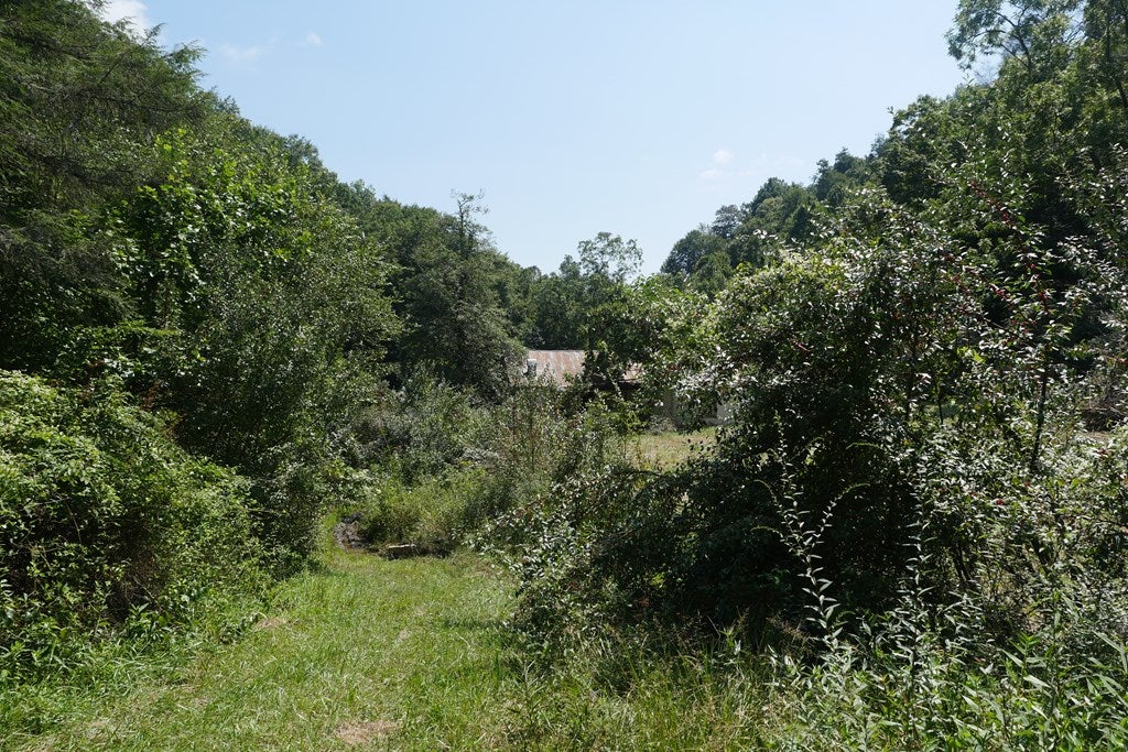 12246 Hunters Valley W Road Duffield, VA 24244 - Photo 19 of 20 Gallery Image 19