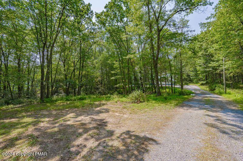 711 Toll Road Effort, PA 18330 - Photo 7 of 55 vl7