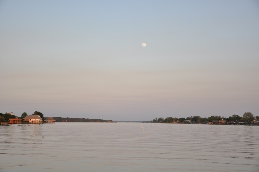 0 Walden Road Montgomery, TX 77356 - Photo 6 of 12 Looking East over West fork of Lake Conroe.