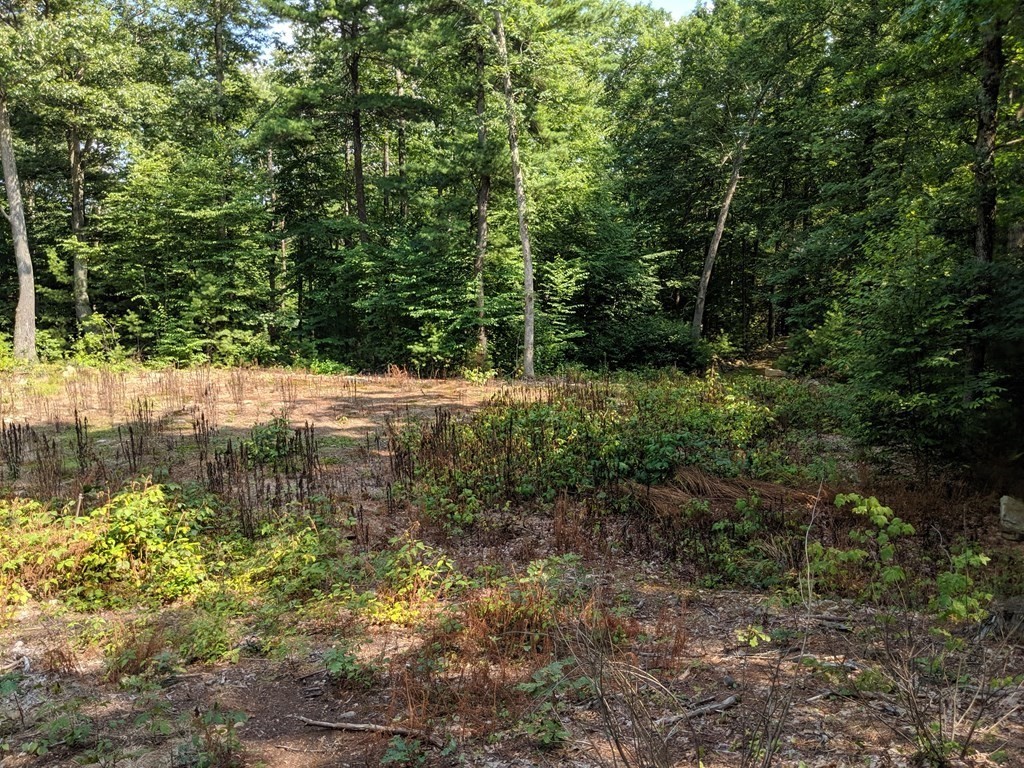 35 Northside Road Charlton, MA 01507 - Photo 17 of 30 Gallery Image 17