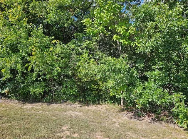 $28,500 | 0 Lot 16 Tarrant's Estates, Bowling Green, MO 63334