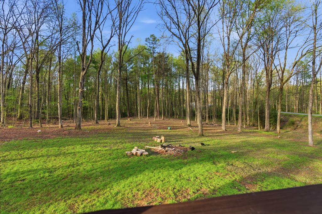 1843 Old Mobile Road McCaysville, GA 30555 - Photo 26 of 41 a view of a park with large trees