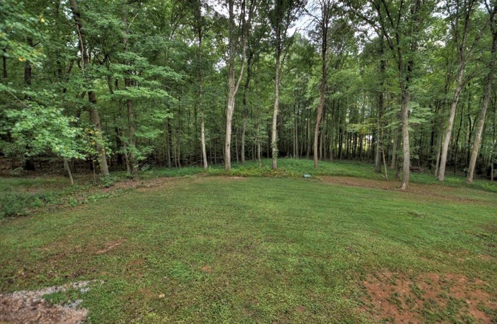 1843 Old Mobile Road McCaysville, GA 30555 - Photo 7 of 41 a backyard of a house with lots of green space