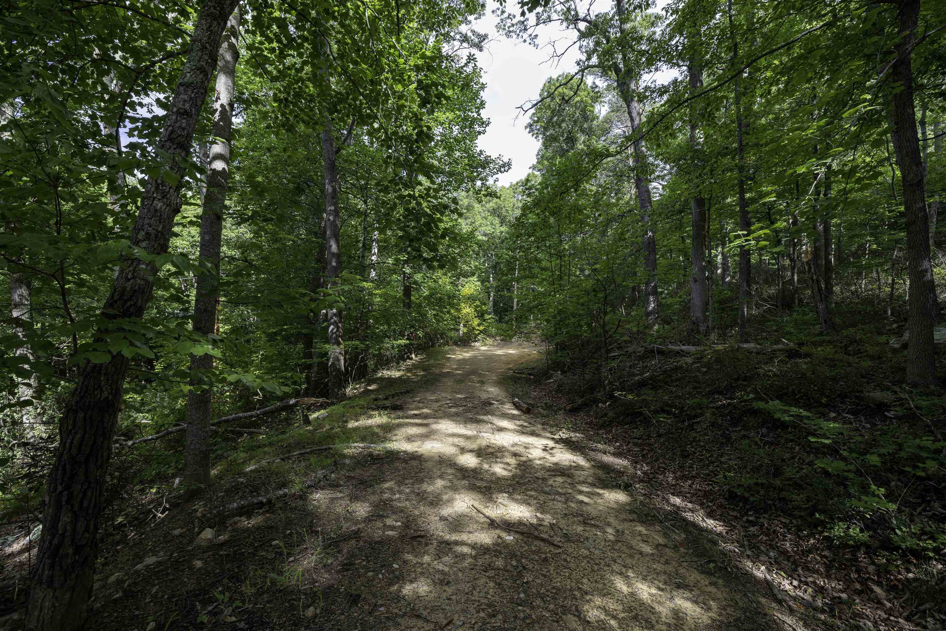 Lot 69 Ridge Road Luray, VA 22835 - Photo 2 of 27 Gallery Image 2