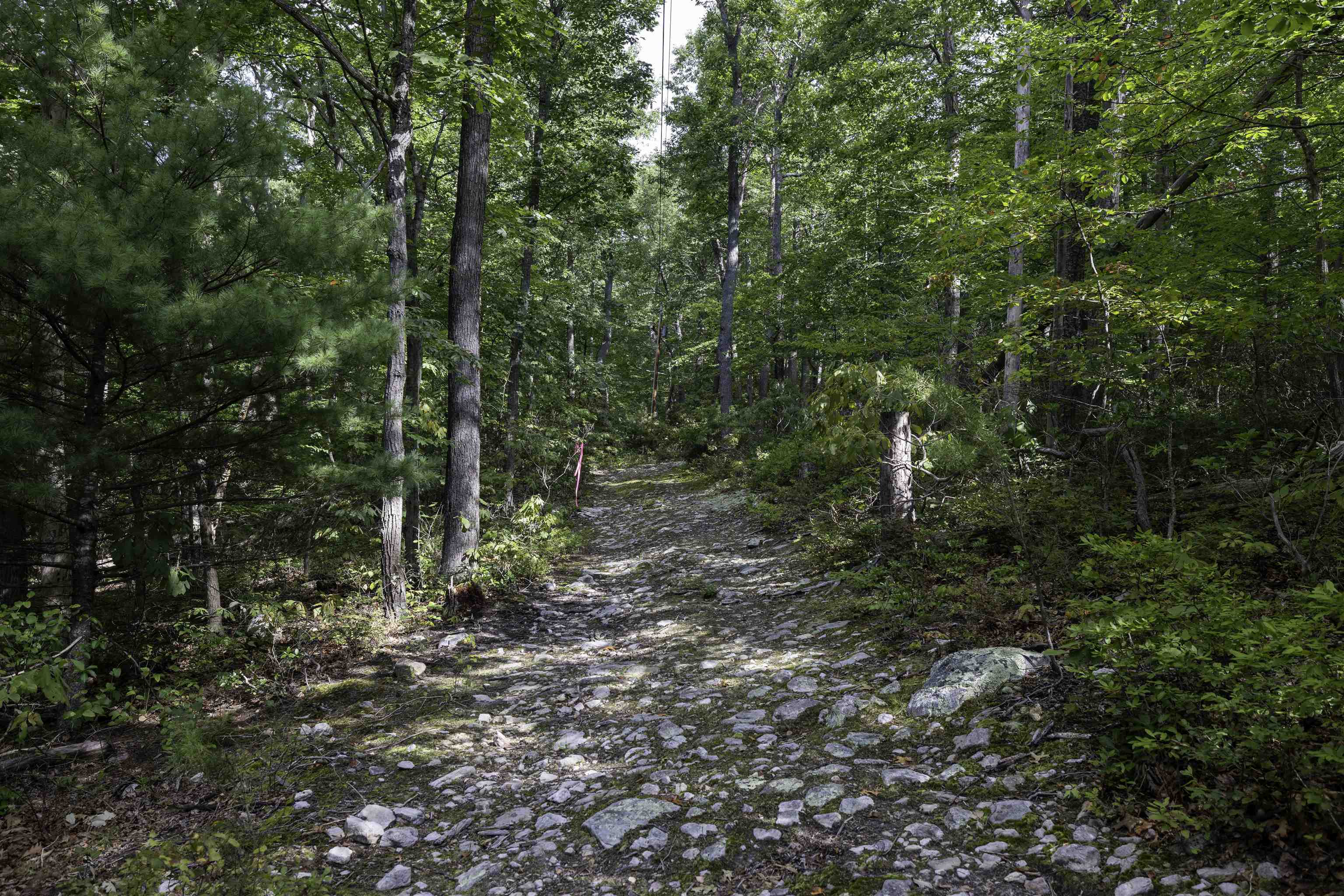 Lot 69 Ridge Road Luray, VA 22835 - Photo 6 of 27 Gallery Image 6