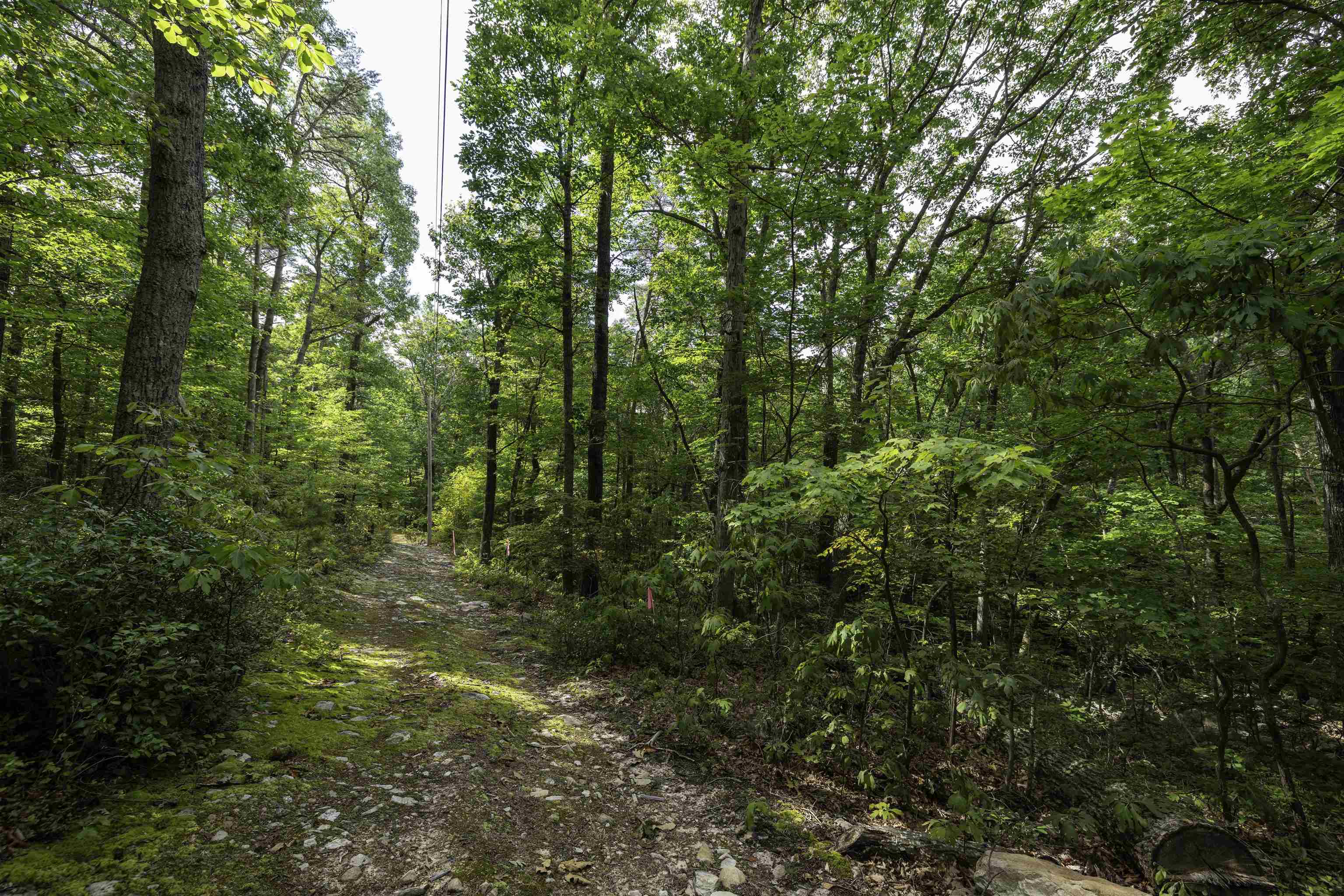 Lot 69 Ridge Road Luray, VA 22835 - Photo 7 of 27 Gallery Image 7