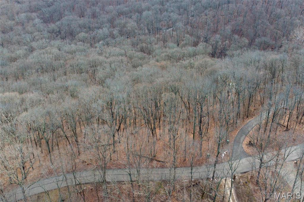 636 Hoene Ridge Estates Drive Eureka, MO 63025 - Photo 2 of 4