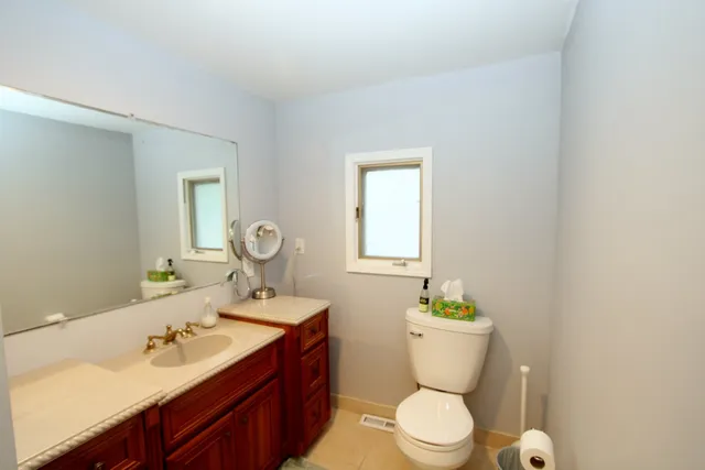 a bathroom with a toilet a sink and mirror