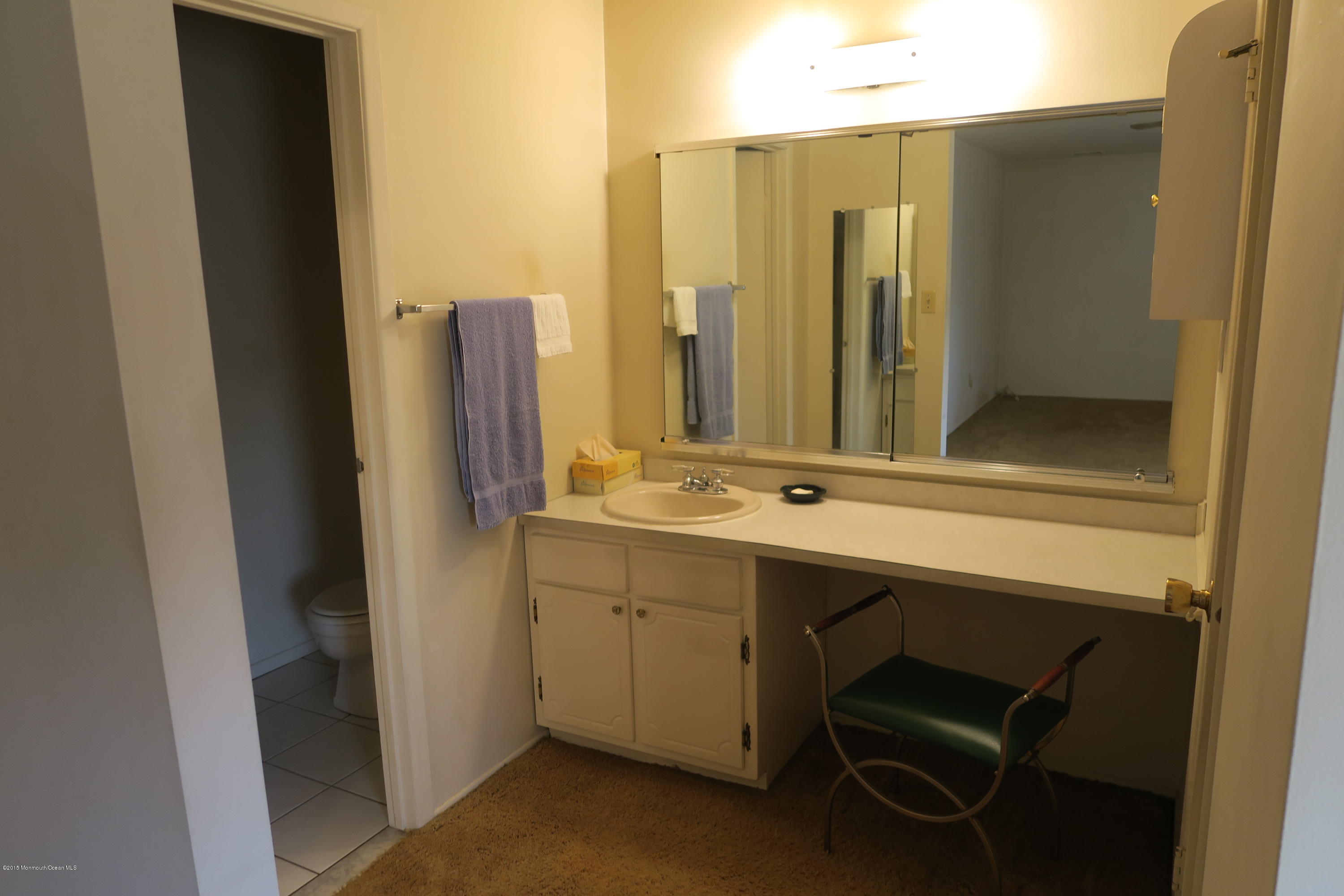 675 Elton Adelphia Road Freehold, NJ 07728 - Photo 16 of 17 IMG_0333