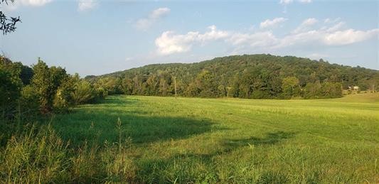 2 No Pone Road Georgetown, TN 37336 - Photo 5 of 10