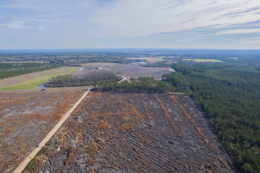 6 Morris Break Road Odum, GA 31555 - Photo 14 of 16