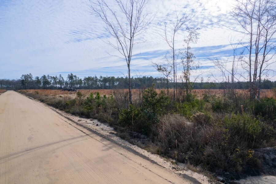 6 Morris Break Road Odum, GA 31555 - Photo 15 of 16