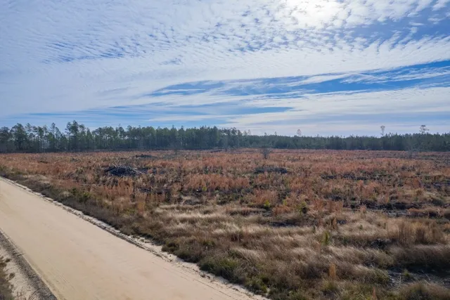 $93,415 | 6 Morris Break Road, Odum, GA 31555