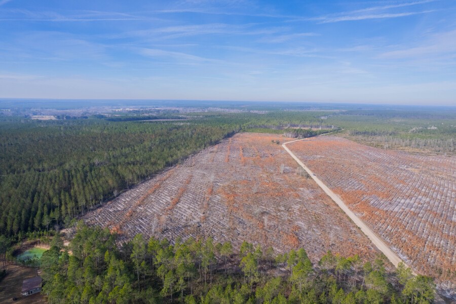 6 Morris Break Road Odum, GA 31555 - Photo 2 of 16