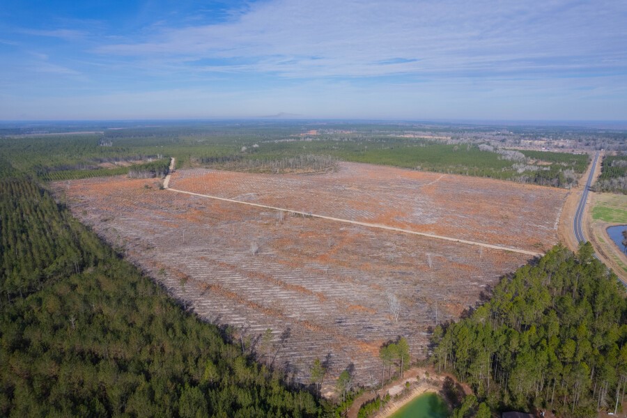 6 Morris Break Road Odum, GA 31555 - Photo 4 of 16