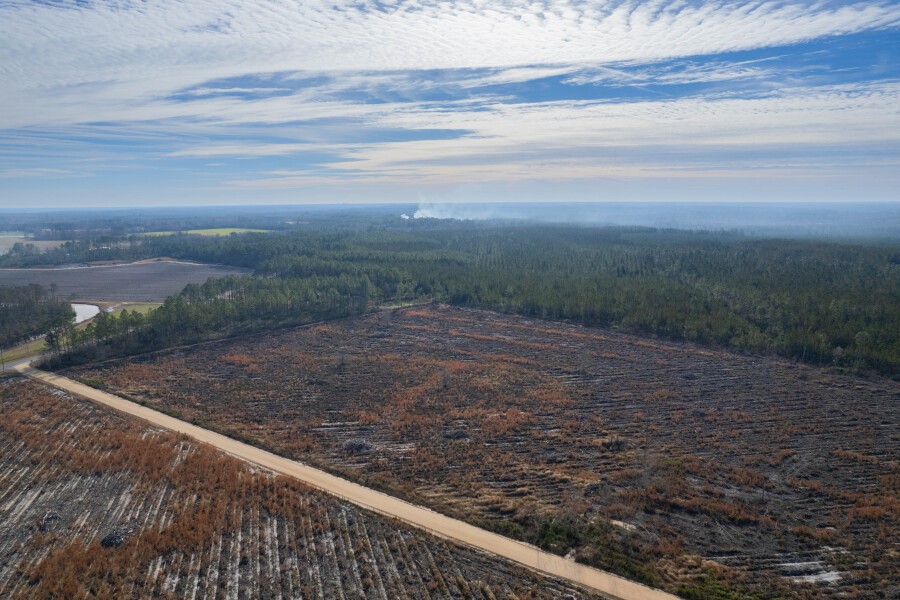 6 Morris Break Road Odum, GA 31555 - Photo 6 of 16