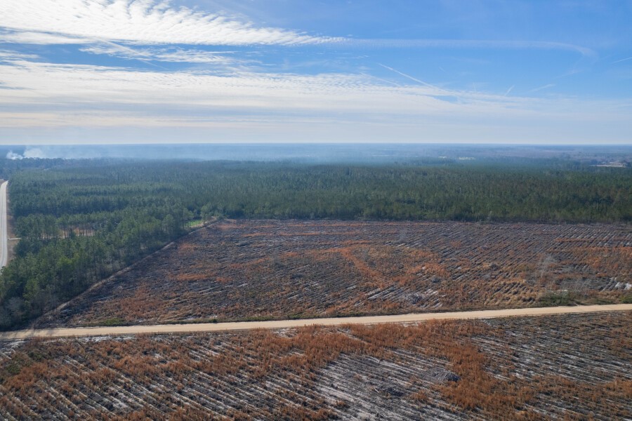 6 Morris Break Road Odum, GA 31555 - Photo 8 of 16