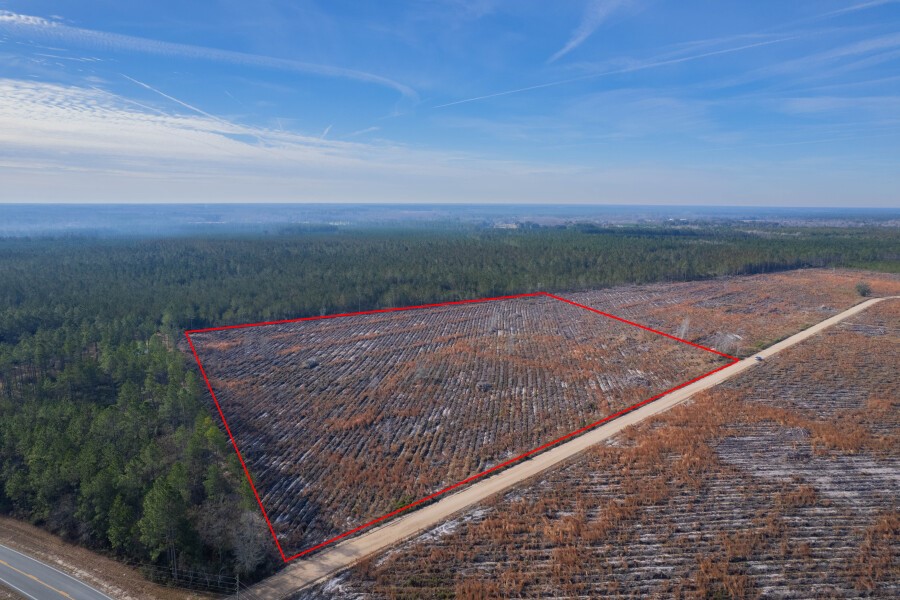 6 Morris Break Road Odum, GA 31555 - Photo 9 of 16