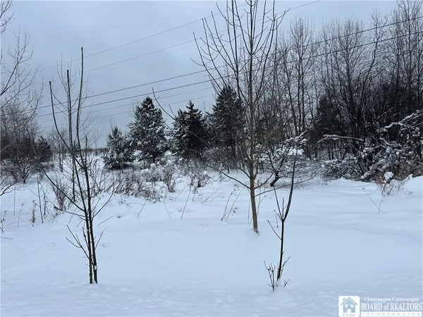 $25,000 | Pekin Road, Clymer, NY 14724