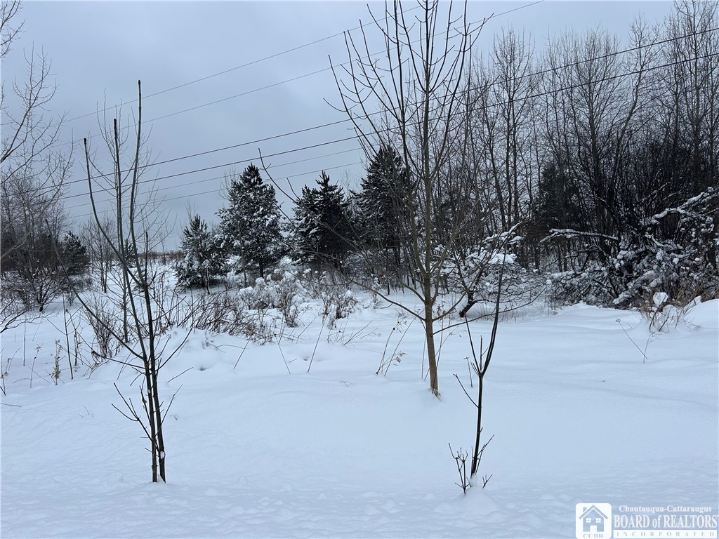 Pekin Road Clymer, NY 14724 - Photo 2 of 3