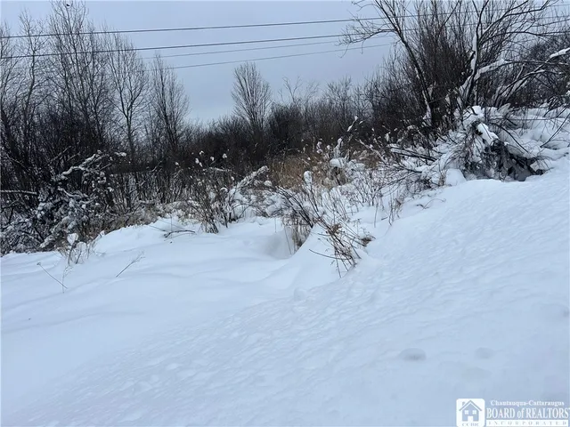 $30,000 | Pekin Road, Clymer, NY 14724