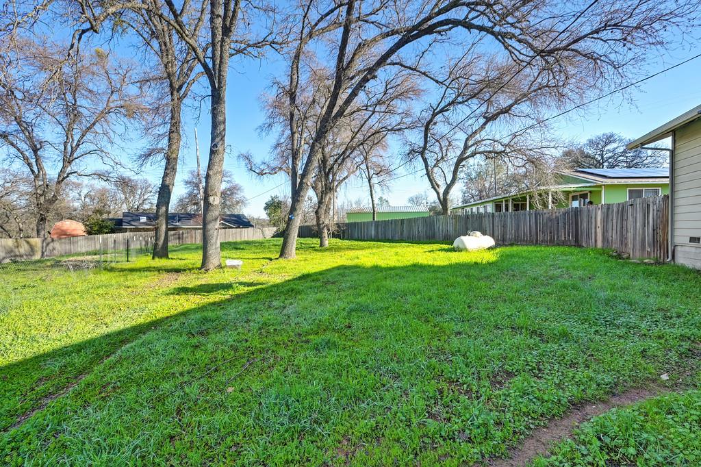 11425 Joeger Road Auburn, CA 95602 - Photo 25 of 52 a view of a house with a big yard and large trees