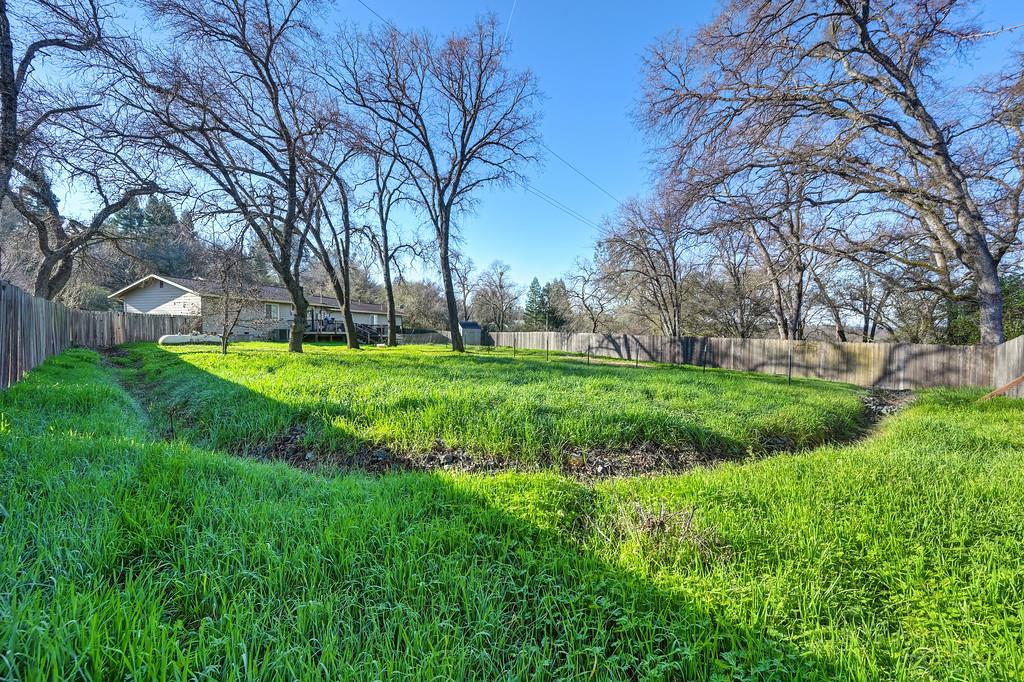 11425 Joeger Road Auburn, CA 95602 - Photo 28 of 52 a view of a park with large trees