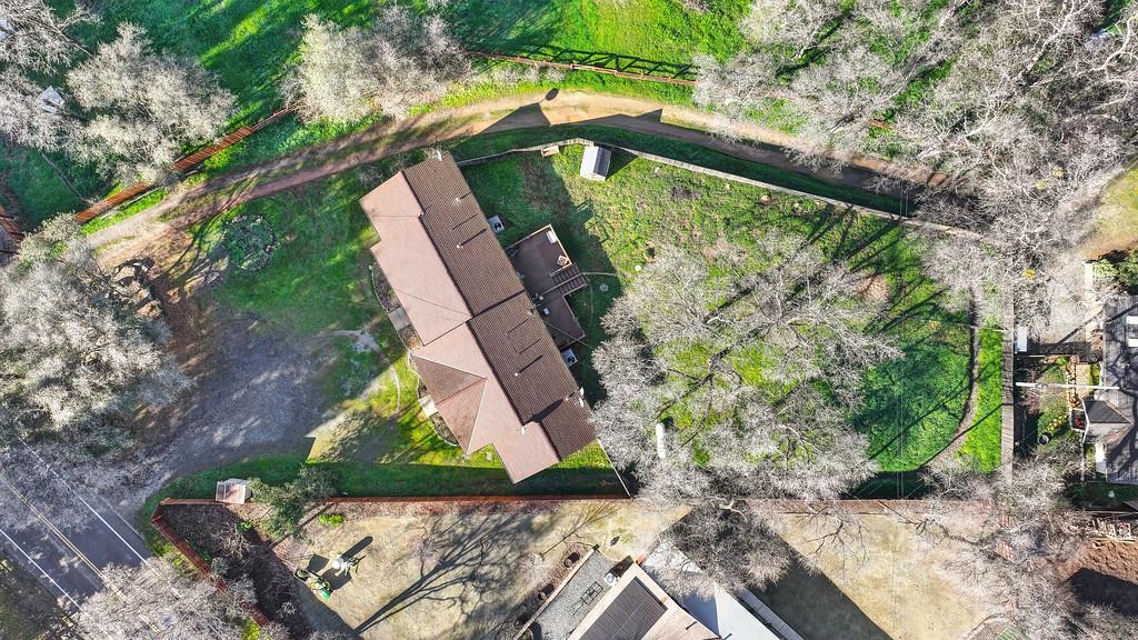 11425 Joeger Road Auburn, CA 95602 - Photo 30 of 52 a view of yard along with trees