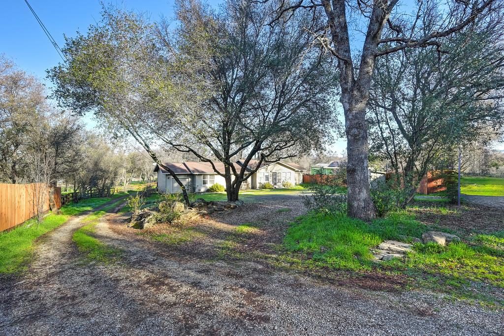 11425 Joeger Road Auburn, CA 95602 - Photo 39 of 52 a view of a yard with tree s