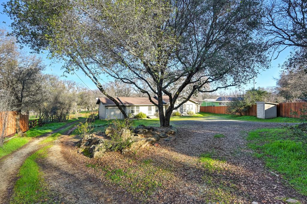 11425 Joeger Road Auburn, CA 95602 - Photo 40 of 52 a view of backyard with green space