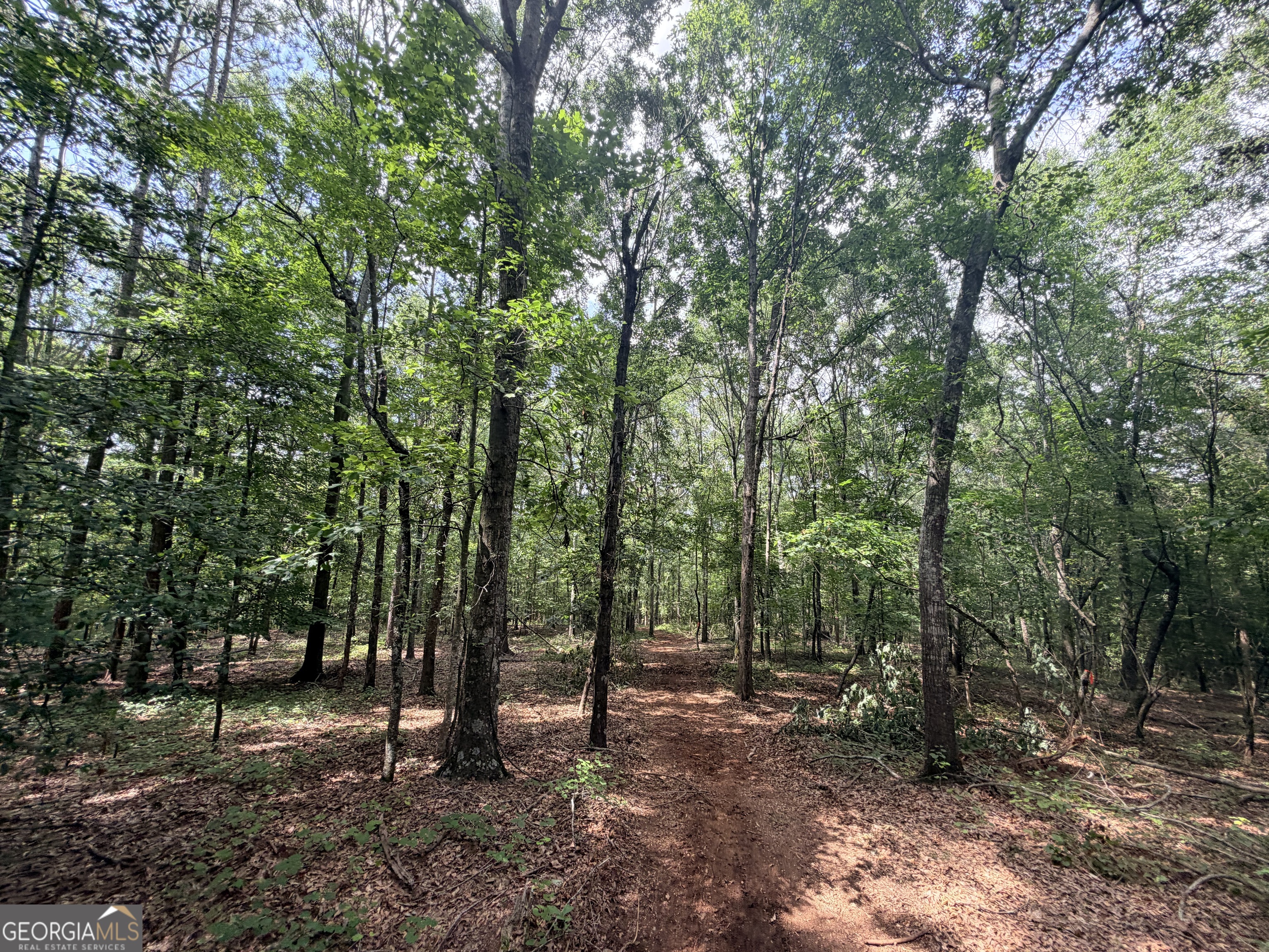 1590 James Adams Road Danielsville, GA 30633 - Photo 31 of 98
