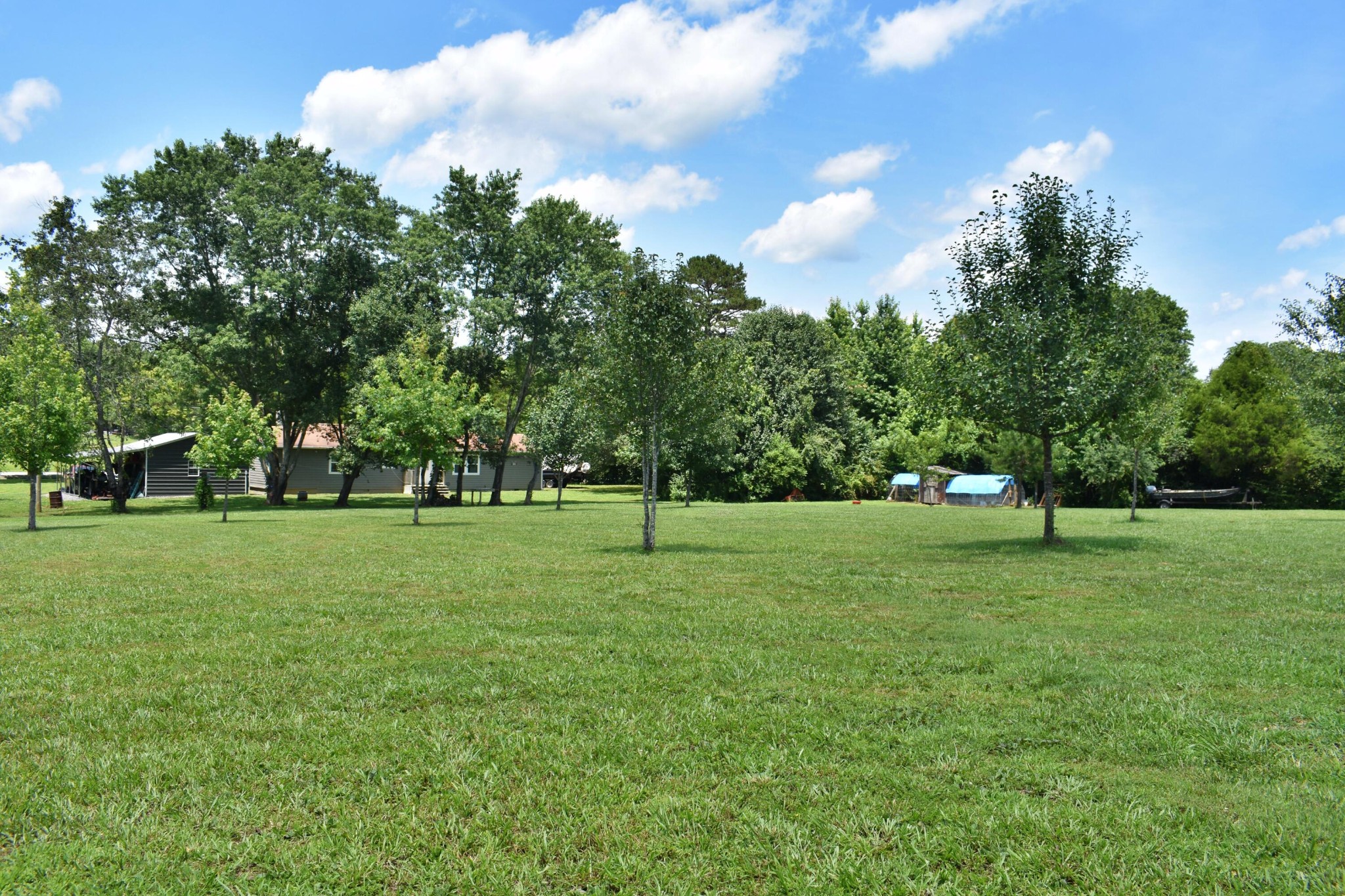 5858 Wolf Creek Road Spring City, TN 37381 - Photo 48 of 76