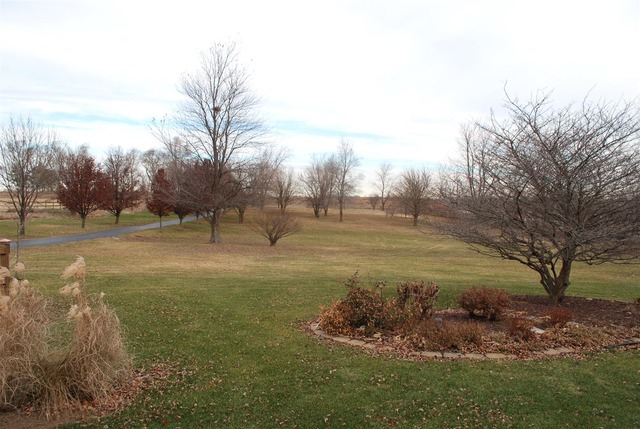 8953 West Bruns Road Monee, IL 60449 - Photo 2 of 21