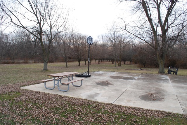 8953 West Bruns Road Monee, IL 60449 - Photo 5 of 21