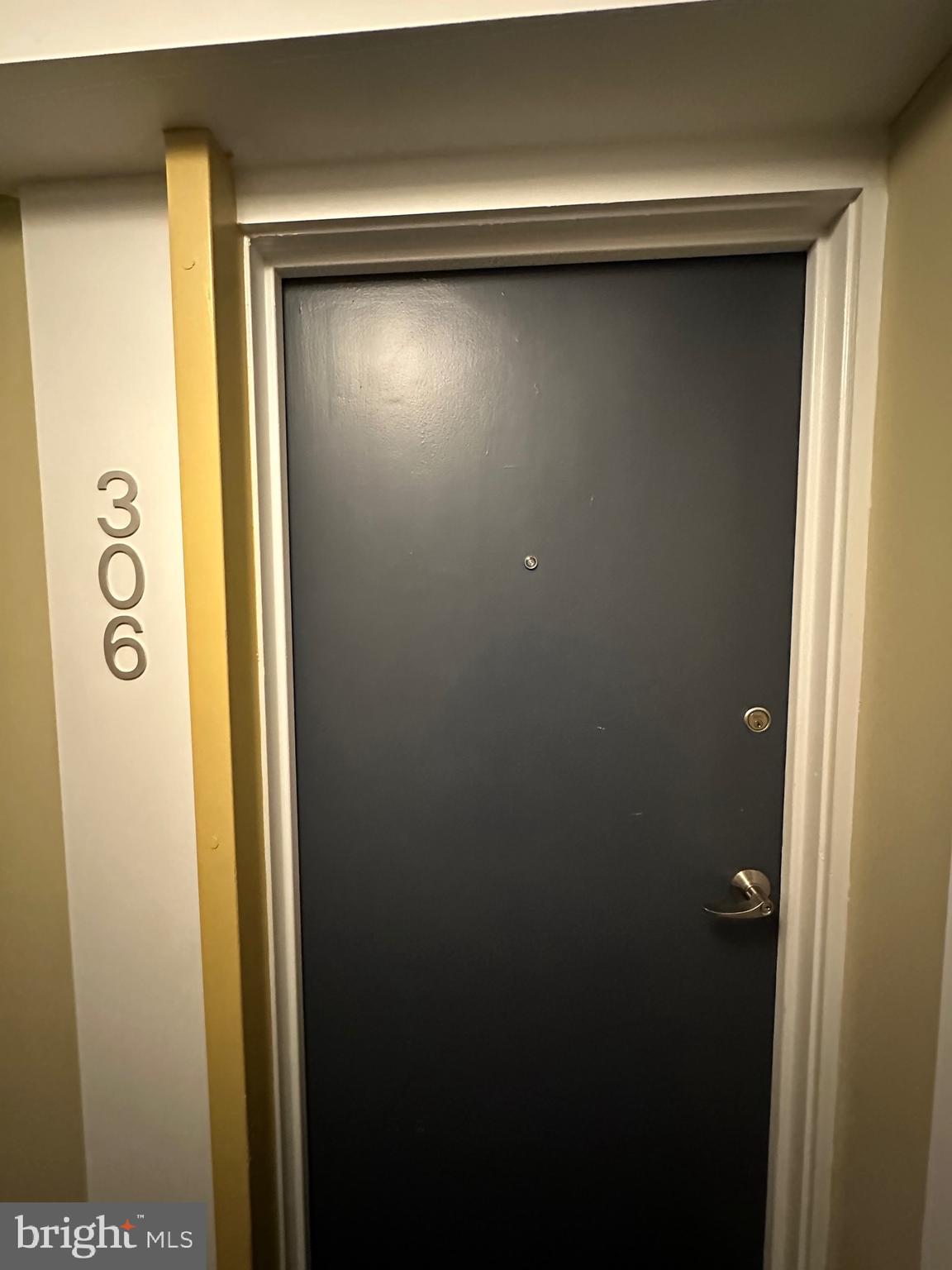 1101 3rd Street Southwest, Unit 306 Washington, DC 20024 - Photo 11 of 53 a view of door