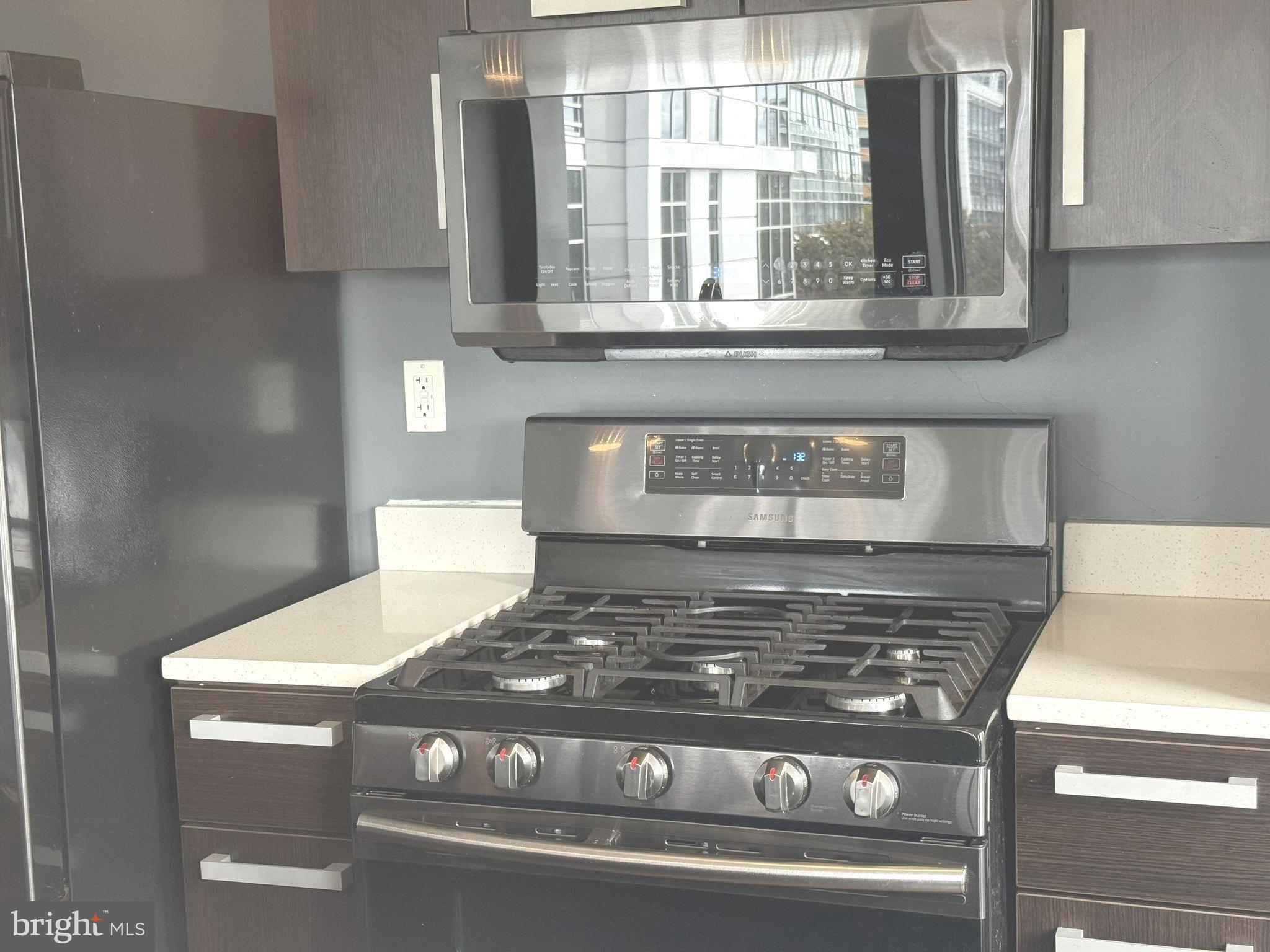 1101 3rd Street Southwest, Unit 306 Washington, DC 20024 - Photo 25 of 53 a close view of stove