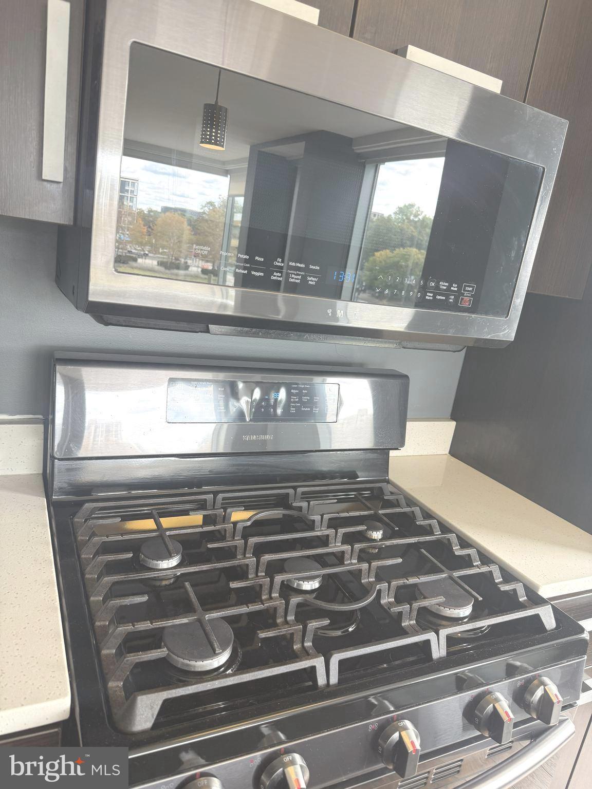 1101 3rd Street Southwest, Unit 306 Washington, DC 20024 - Photo 26 of 53 a close view of stove