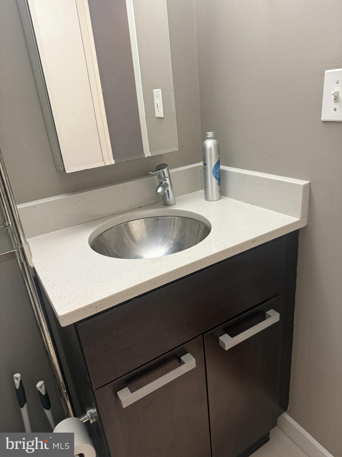 1101 3rd Street Southwest, Unit 306 Washington, DC 20024 - Photo 35 of 53 a close up of a sink and a mirror