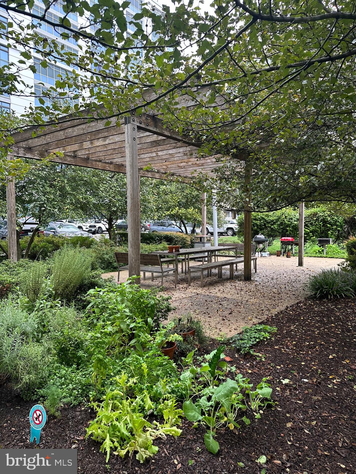 1101 3rd Street Southwest, Unit 306 Washington, DC 20024 - Photo 9 of 53 a view of outdoor space with deck and tree