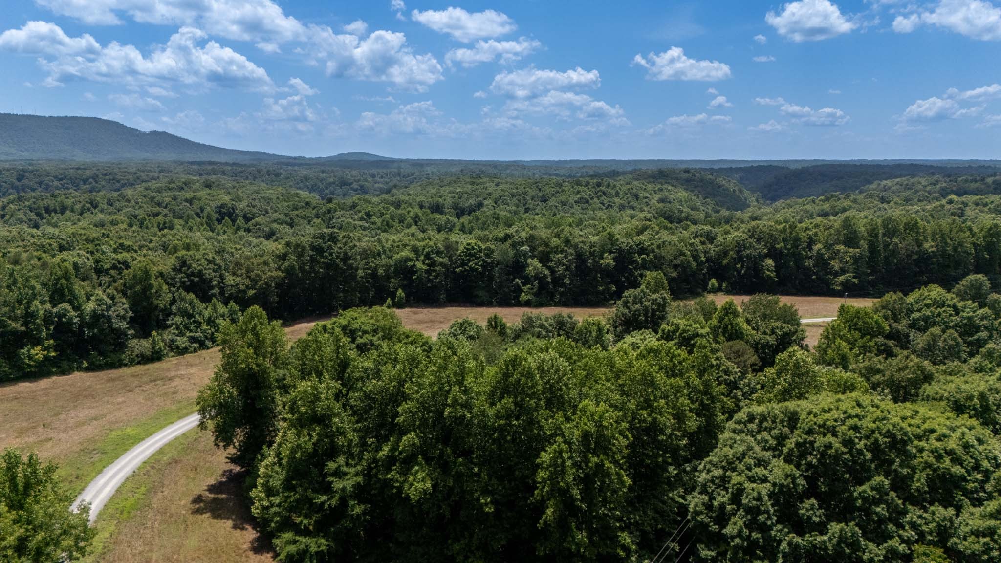 3772 Pea Ridge Road Liberty, TN 37095 - Photo 28 of 52
