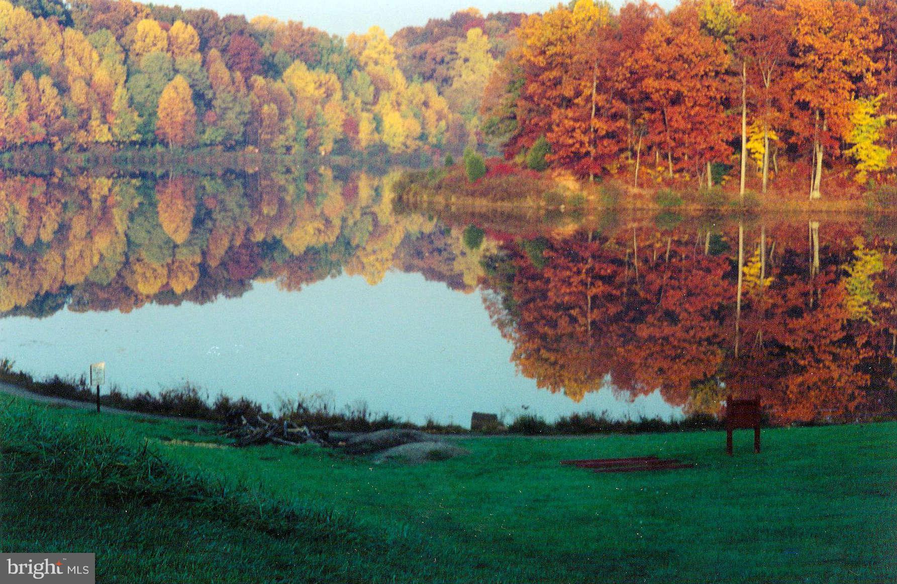5354 Guinea Road Fairfax, VA 22032 - Photo 23 of 24 Lake Royal